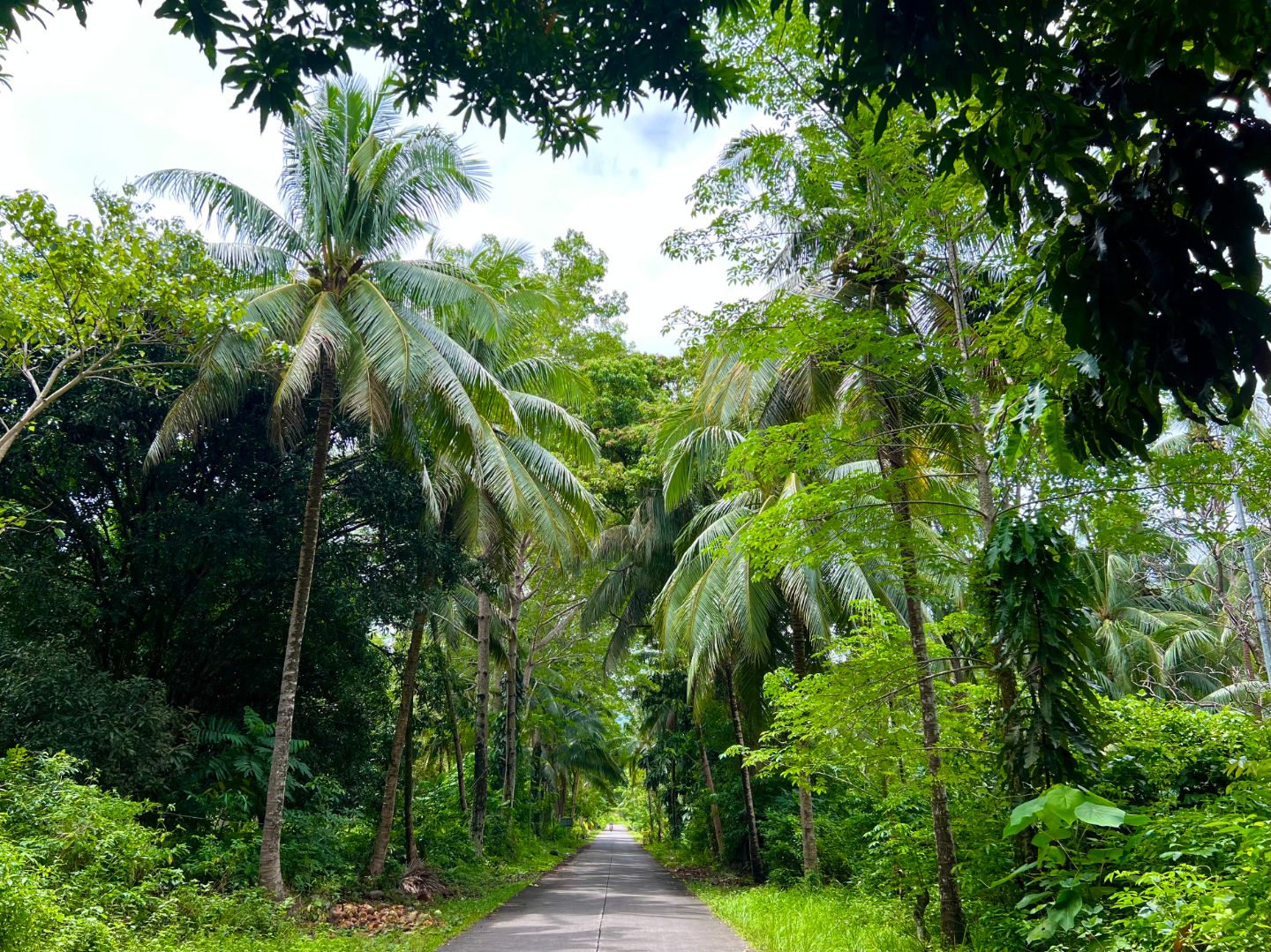 Camiguin Island